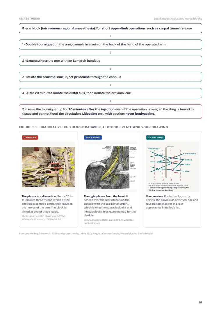 Anaesthesia and Pain Relief, page 16: Inside the chapter