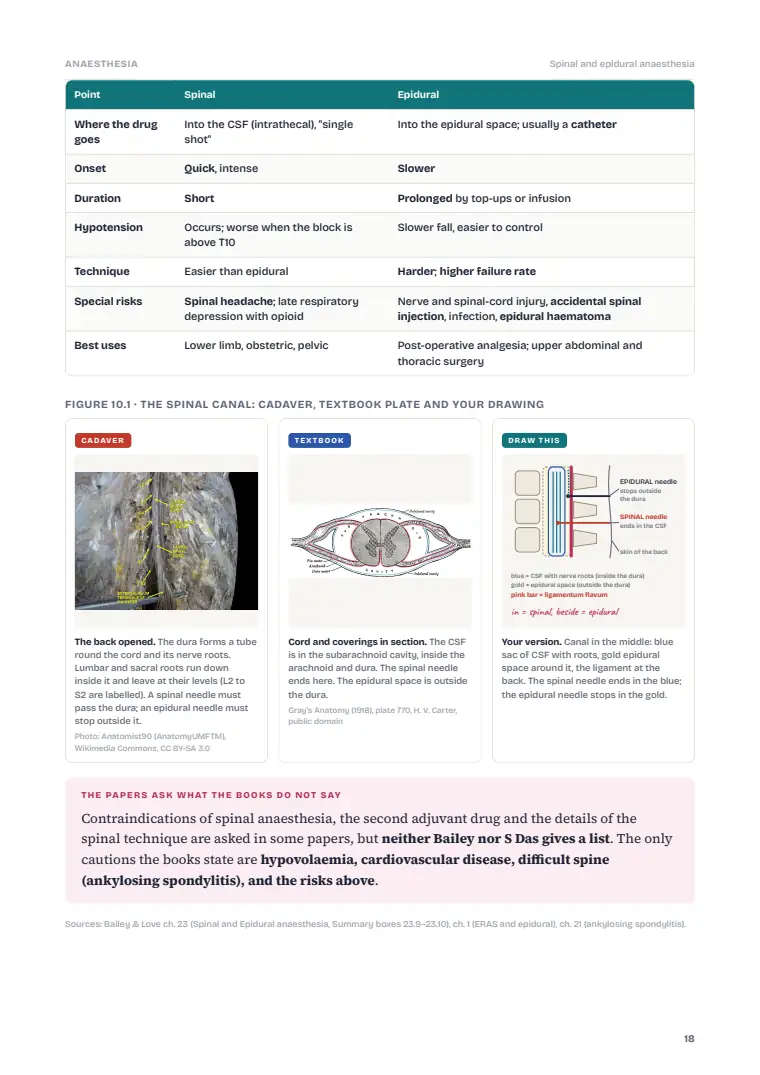 Anaesthesia and Pain Relief, page 18: Inside the chapter