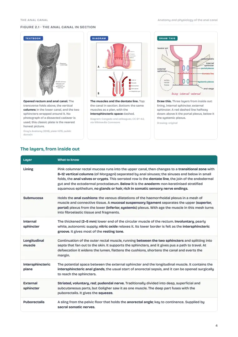The Anus and Anal Canal, page 4: Inside the chapter