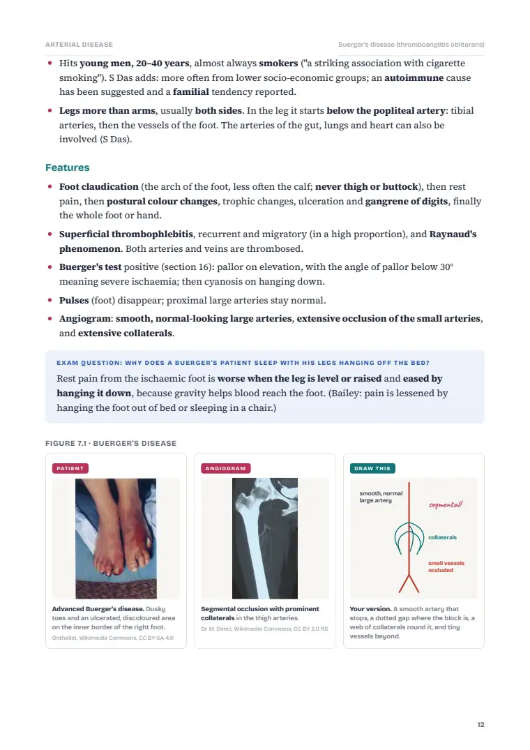 Arterial Disorders, page 12: Inside the chapter