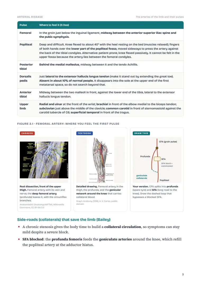 Arterial Disorders, page 3: Inside the chapter