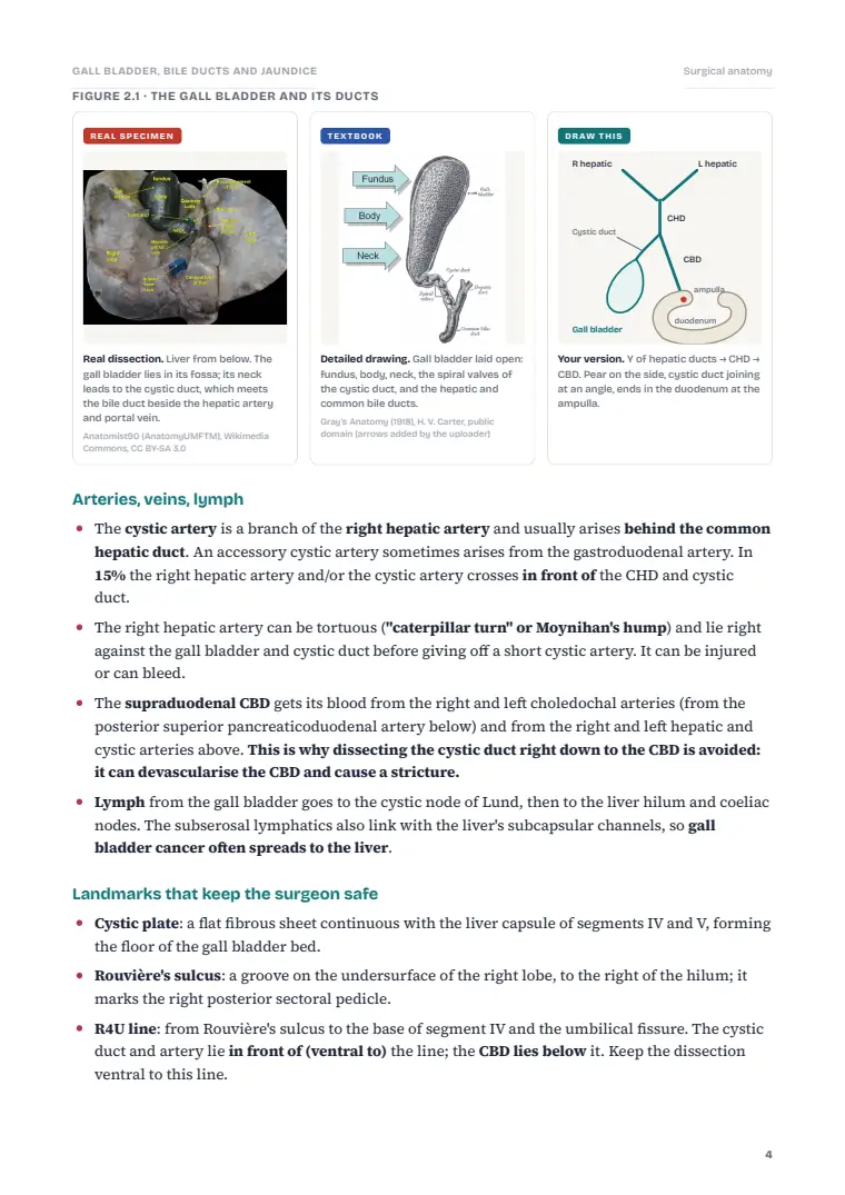 The Gallbladder and Bile Ducts, page 4: Inside the chapter