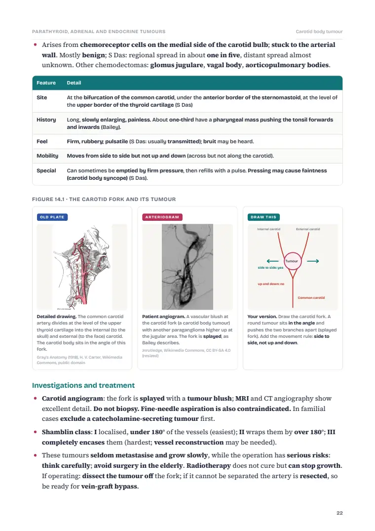 The Parathyroid and Adrenal Glands, page 22: Inside the chapter
