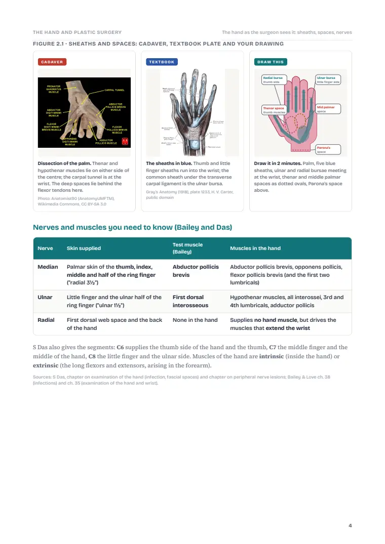 Plastic and Reconstructive Surgery and the Hand, page 4: Inside the chapter