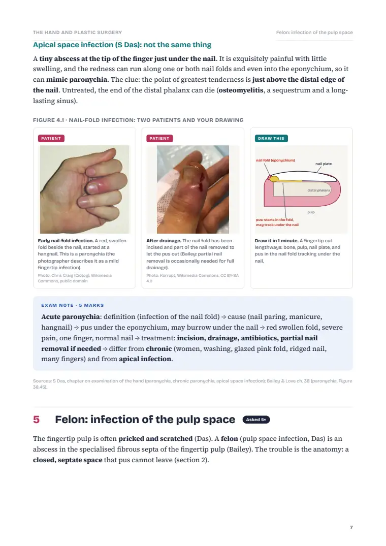 Plastic and Reconstructive Surgery and the Hand, page 7: Inside the chapter