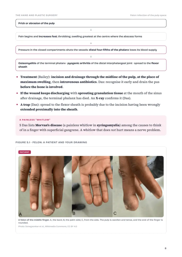 Plastic and Reconstructive Surgery and the Hand, page 8: Inside the chapter