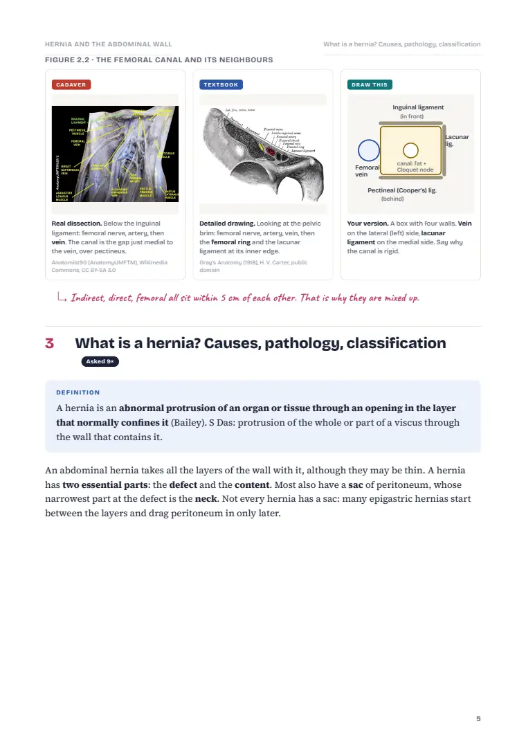 The Abdominal Wall, Hernia and Umbilicus, page 5: Inside the chapter