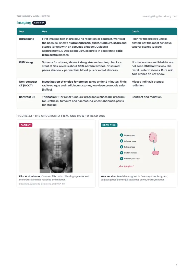 The Kidney and Ureter, page 4: Inside the chapter