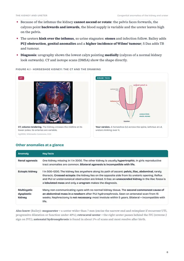 The Kidney and Ureter, page 6: Inside the chapter