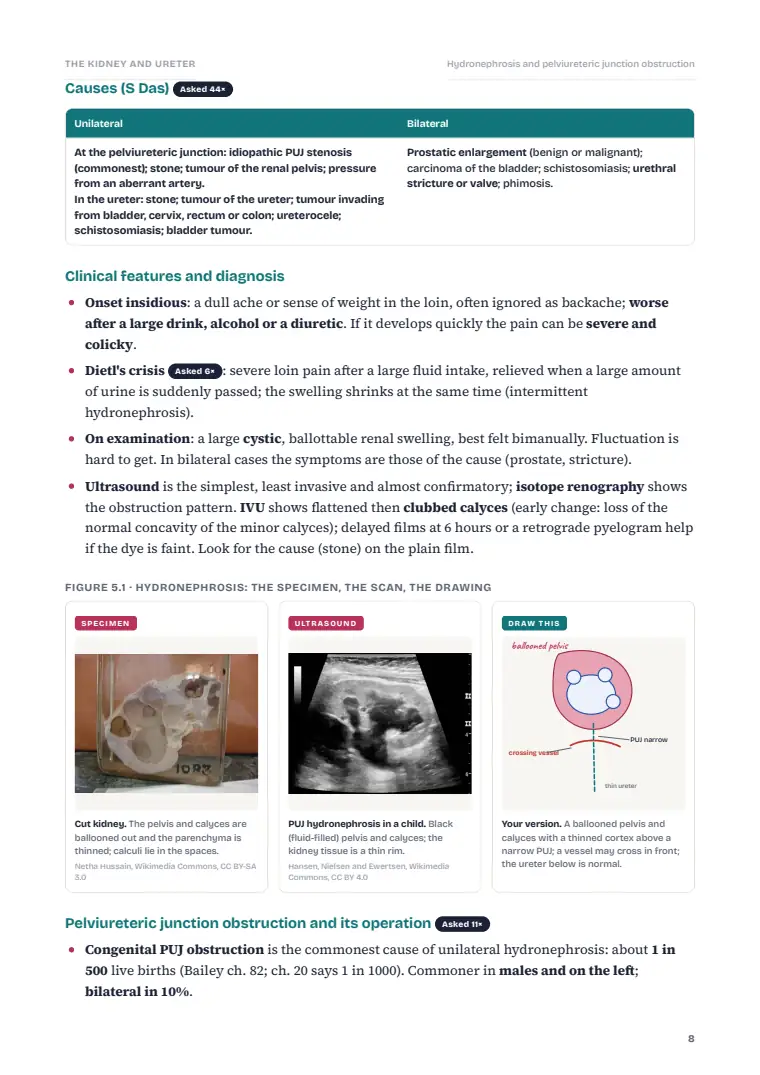The Kidney and Ureter, page 8: Inside the chapter