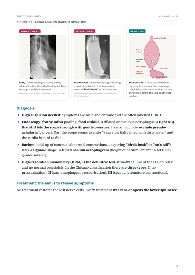 The Oesophagus, page 10: Inside the chapter