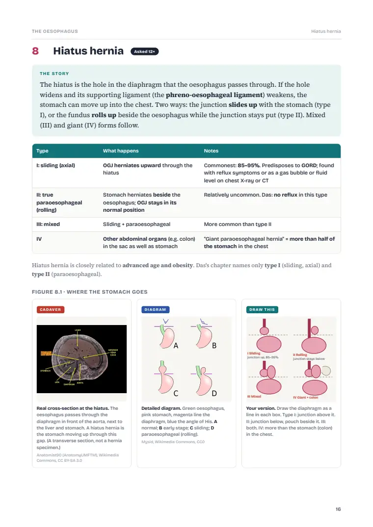 The Oesophagus, page 16: Inside the chapter