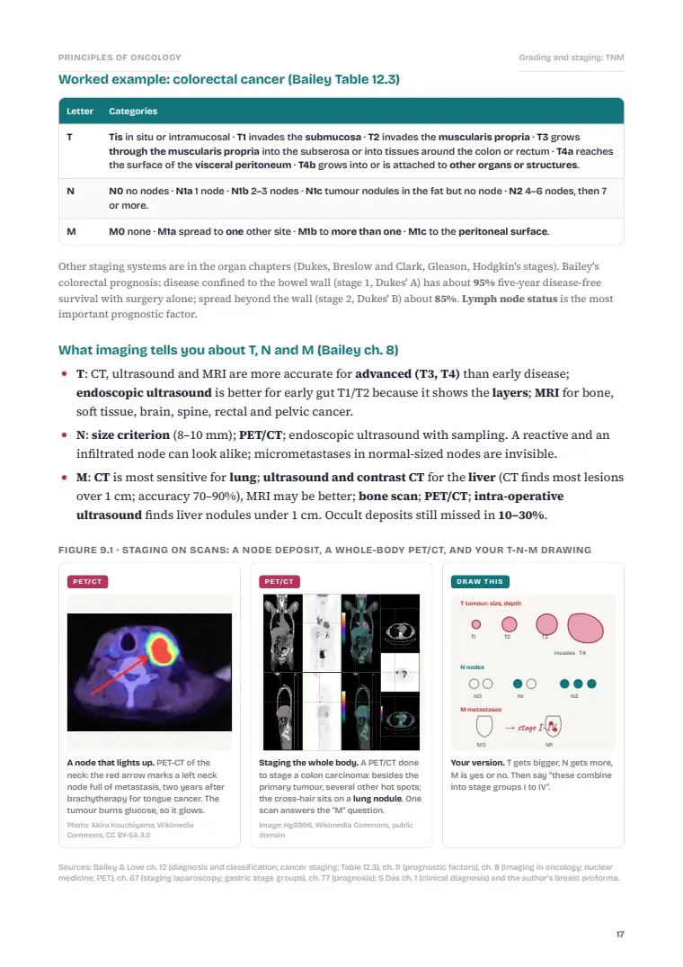 Principles of Oncology, page 17: Inside the chapter
