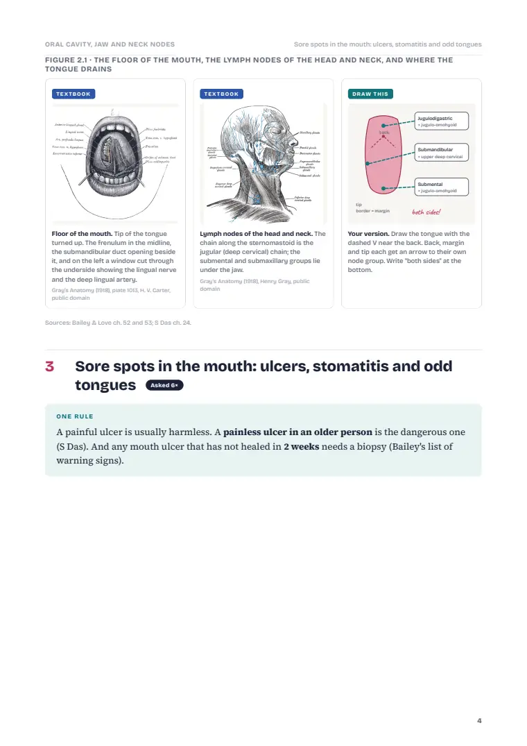 Oral Cavity Cancer and the Neck, page 4: Inside the chapter