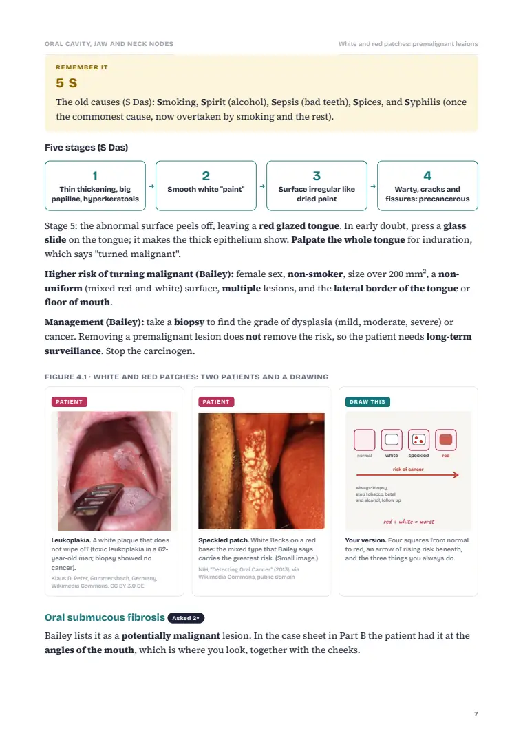 Oral Cavity Cancer and the Neck, page 7: Inside the chapter