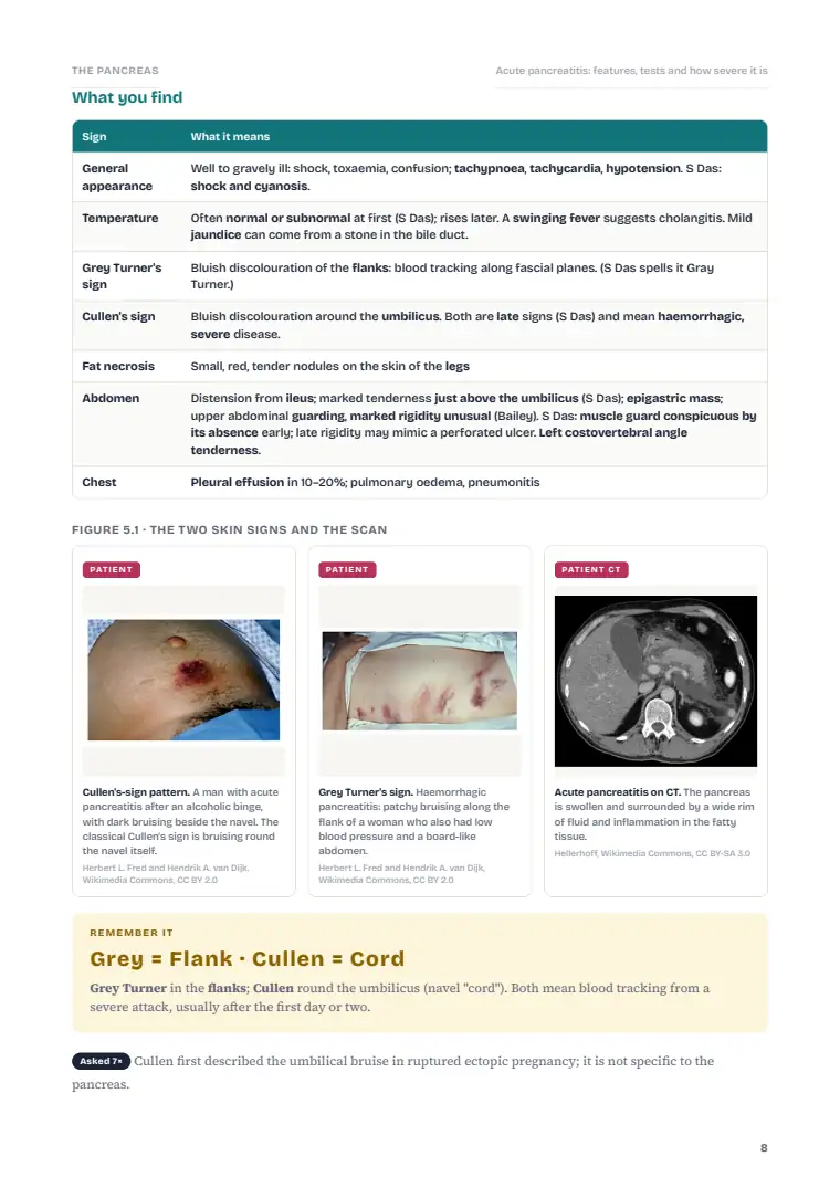 The Pancreas, page 8: Inside the chapter