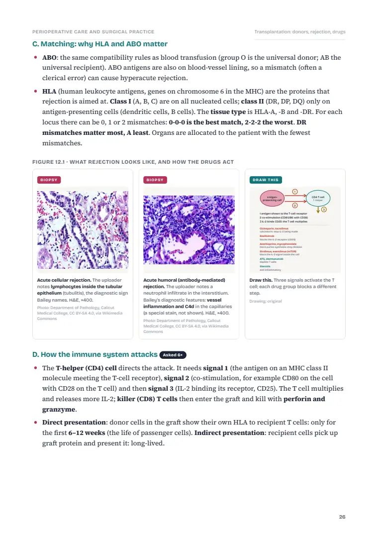 Preoperative and Postoperative Care, page 26: Inside the chapter