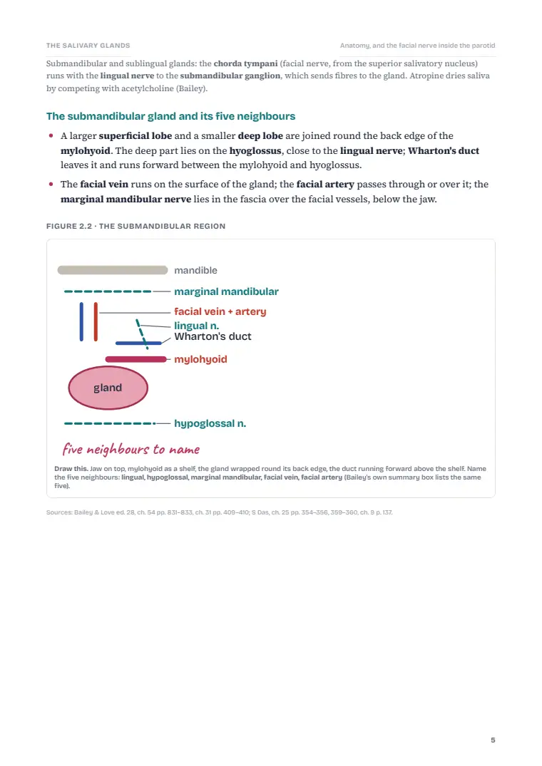 Disorders of the Salivary Glands, page 5: Inside the chapter