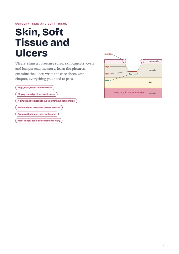 Skin and Subcutaneous Tissue, page 1: First page