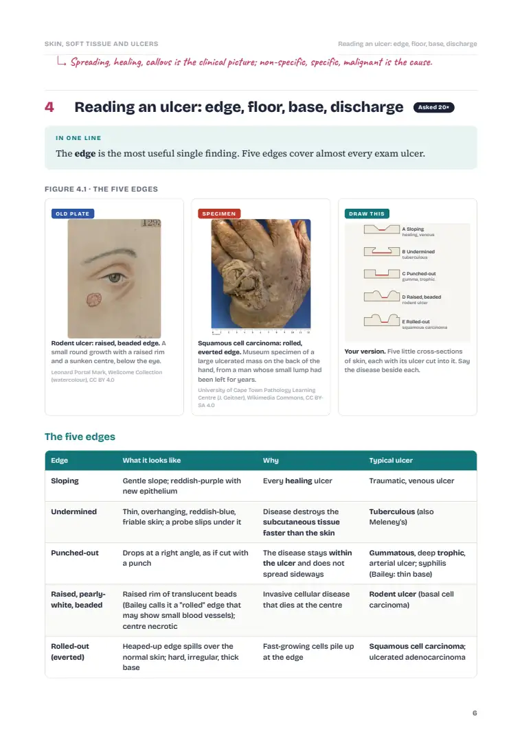 Skin and Subcutaneous Tissue, page 6: Inside the chapter