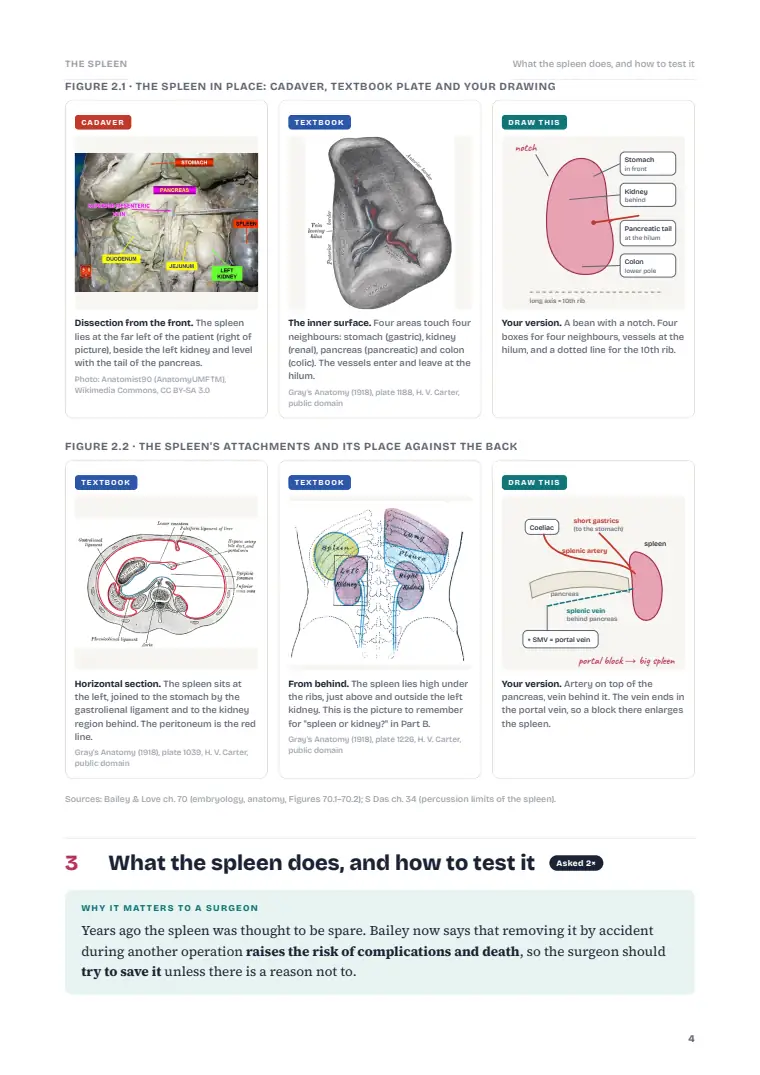 The Spleen, page 4: Inside the chapter