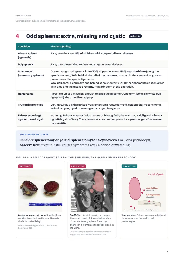 The Spleen, page 6: Inside the chapter