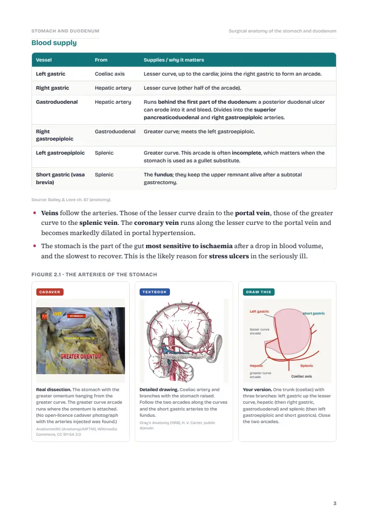The Stomach and Duodenum, page 3: Inside the chapter