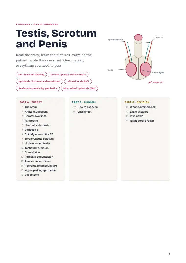 The Testis, Scrotum and Penis, page 1: First page