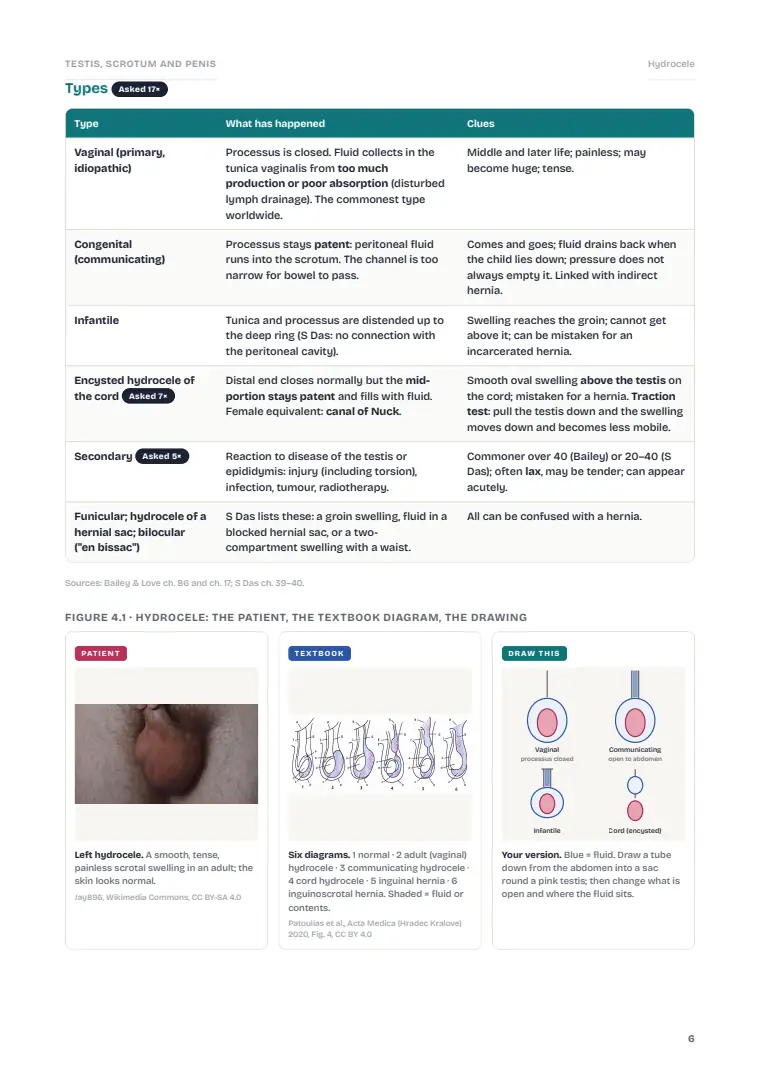 The Testis, Scrotum and Penis, page 6: Inside the chapter