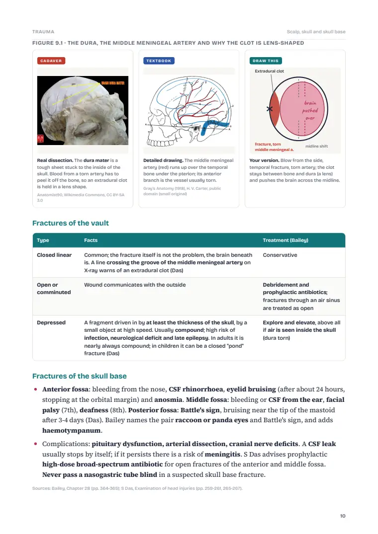 Trauma, page 10: Inside the chapter