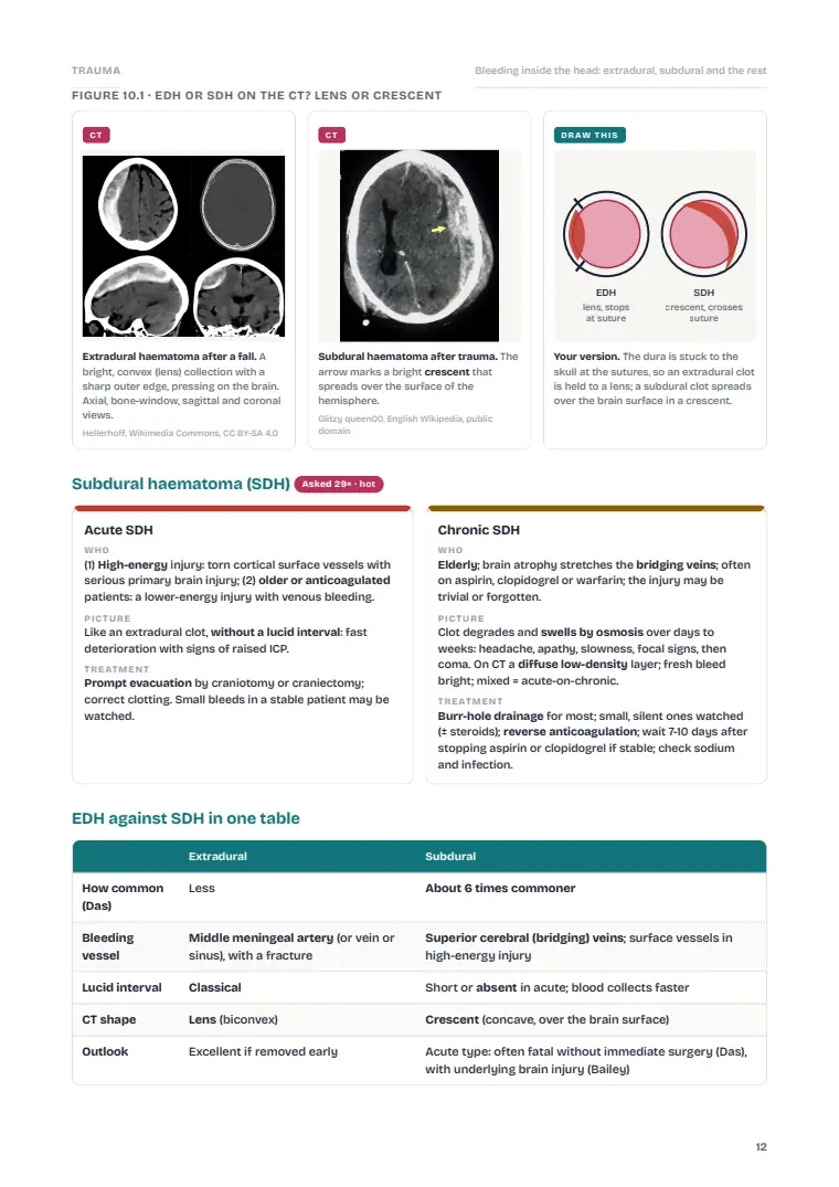 Trauma, page 12: Inside the chapter
