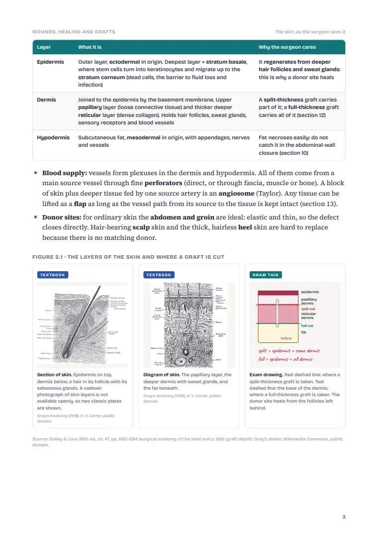 Wound Healing and Tissue Repair, page 3: Inside the chapter