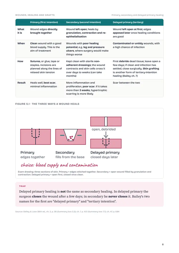 Wound Healing and Tissue Repair, page 8: Inside the chapter
